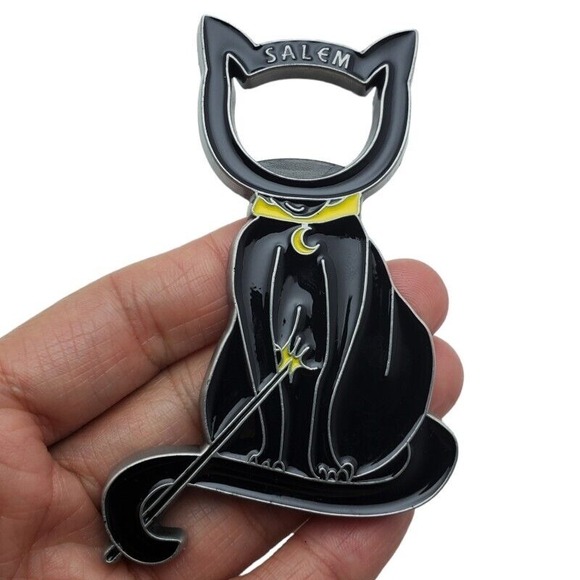Salem Fridge Magnet Massachusetts Witch Cat Souvenir Travel Halloween US States - Picture 3 of 4